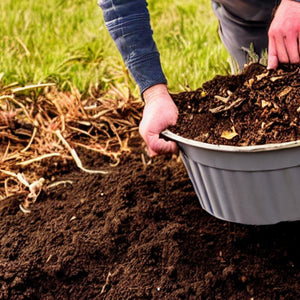 "The Role of Home Composting in the Circular Economy" - EcoMarketPlace