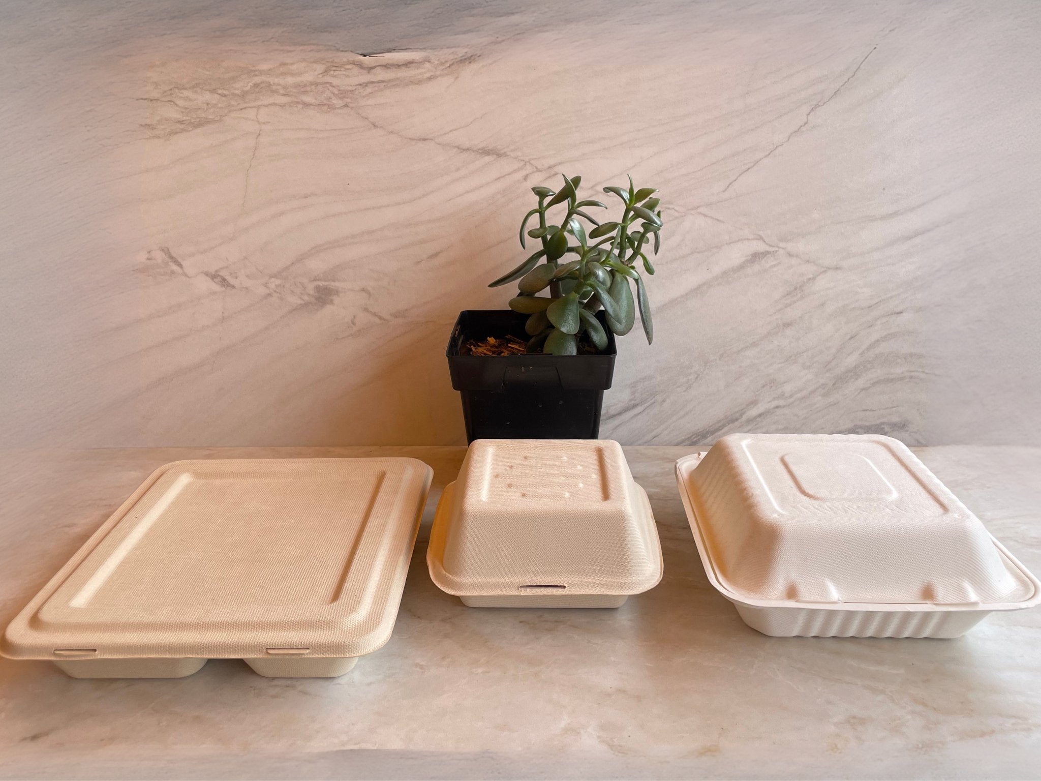 Compostable Certified Clamshells - EcoMarketPlace