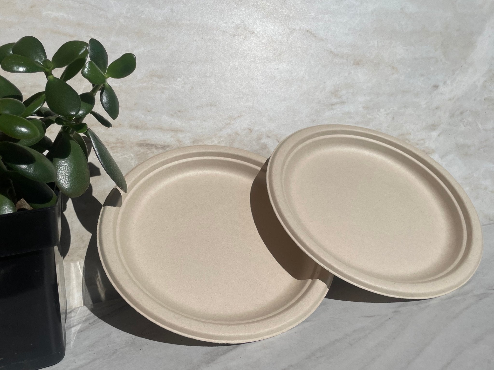 Compostable Certified Plates - EcoMarketPlace