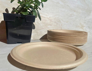 EarthTainer - Plates 10" & 11" - 500ct - Compostable Certified - EcoMarketPlace37612222EarthTainer - 10" Plate 500ct - CERTIFIED COMPOSTABLEEarthTainer - Plates 10" & 11" - 500ct - Compostable Certified